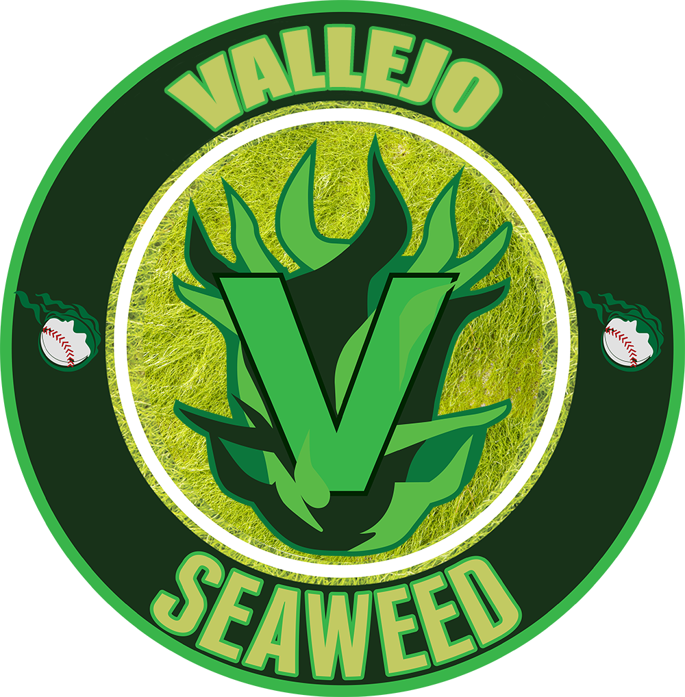 Vallejo Seaweed Black Game Hat Champro Flex Fit